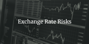 exchnage rate risks